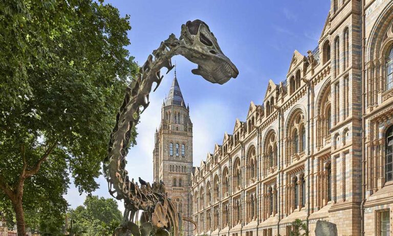 Fern the Diplodocus, supported by Kusuma Trust.